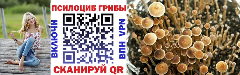 Псилоцибиновые грибы GOLDEN TEACHER  Игарка 